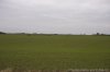 _MG_6593.jpg