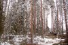 IMG_2244.jpg