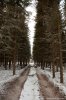 _MG_9729.jpg